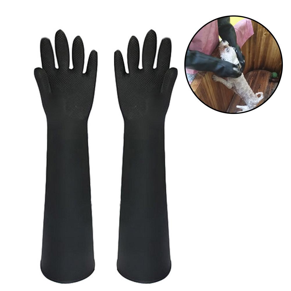 Leatherwork Training - Gants pour animaux de compagnie en