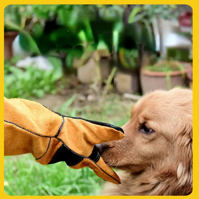 Gants de protection anti-morsu - Leatherwork Training avis et prix