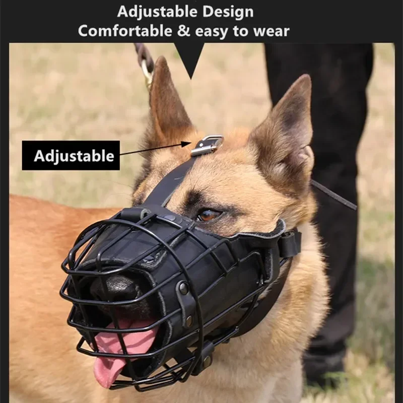 Mouth Cage berger allemand chi - Leatherwork Training avis et prix