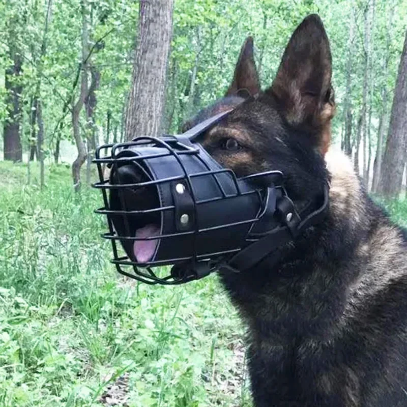 Mouth Cage berger allemand chi - Leatherwork Training avis et prix